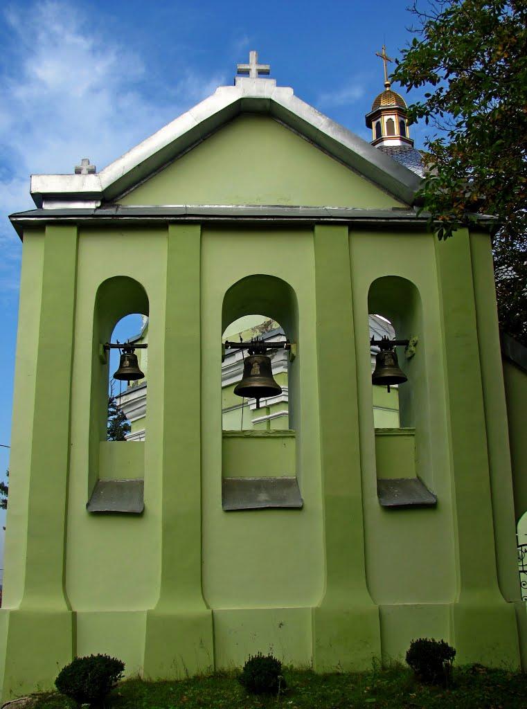 Свірж з panoramio.com - Свирж