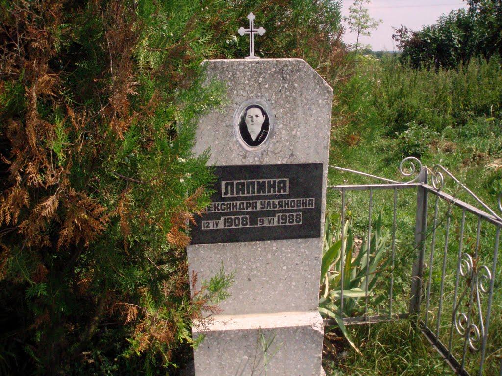 Новопостроїне з panoramio.com - Новопостроїне