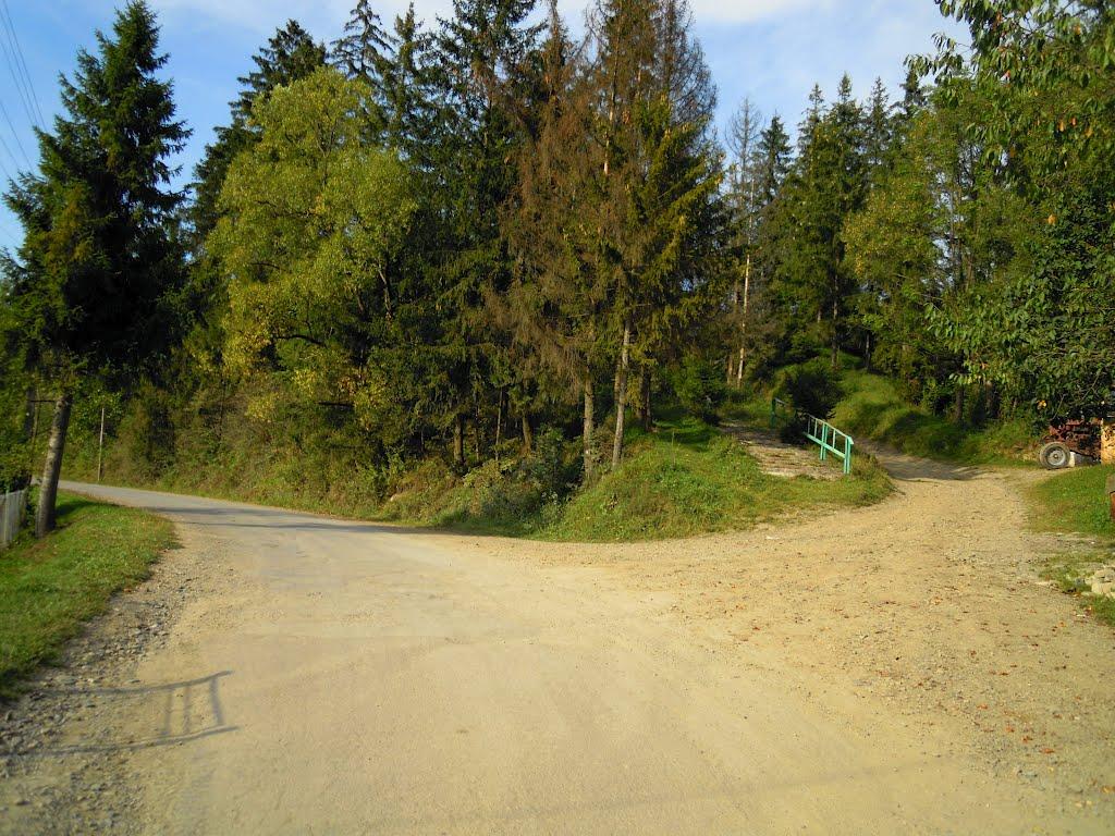 Нижні Ворота з panoramio.com - Нижні Ворота
