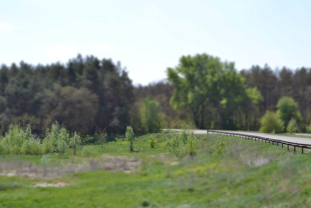 Селище з panoramio.com - Селище