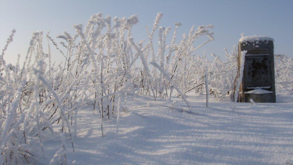 Волноваха з panoramio.com - Волноваха