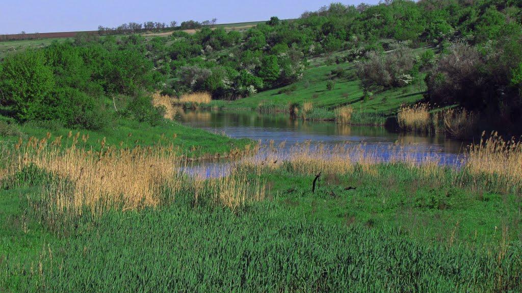 Городуватка з panoramio.com - Городуватка