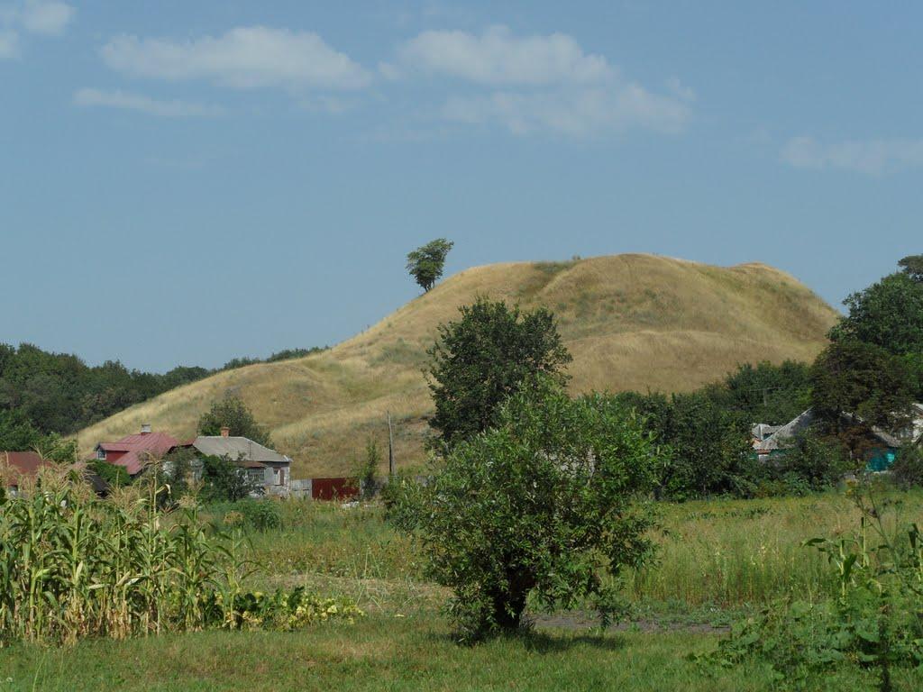 Литовка з panoramio.com - Литовка