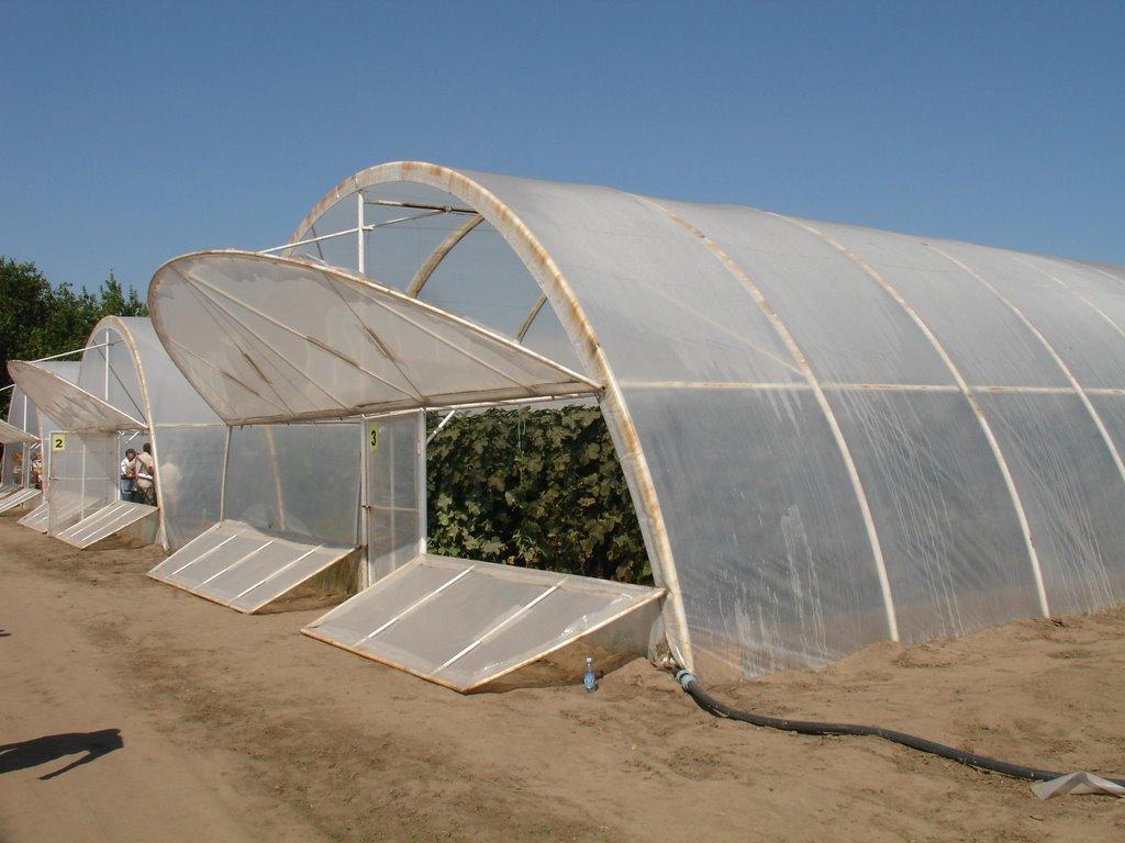 Тарасівка з panoramio.com - Тарасівка