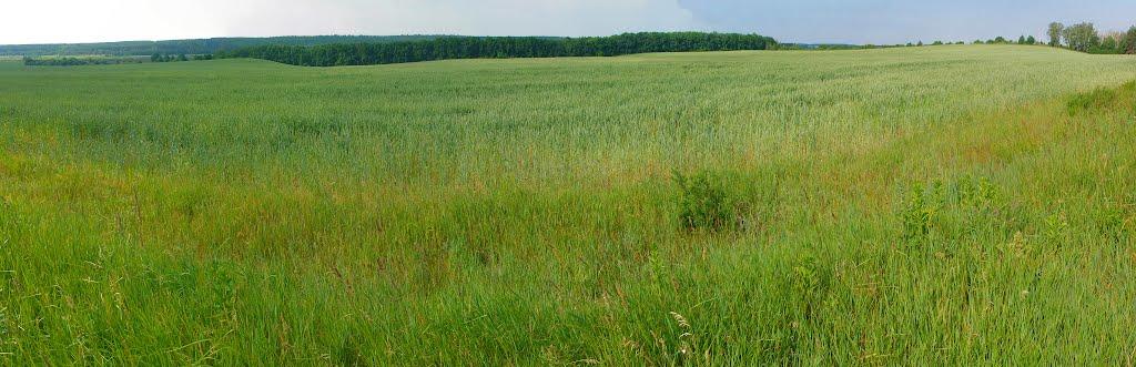 Лубське з panoramio.com - Лубское