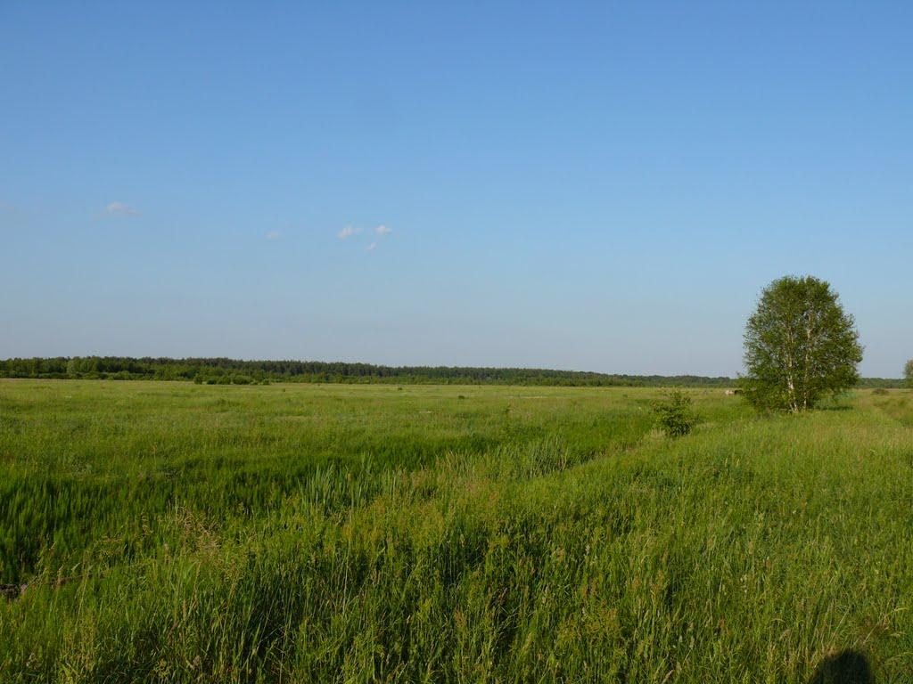 Буда-Бабинецька з panoramio.com - Буда-Бабинецька