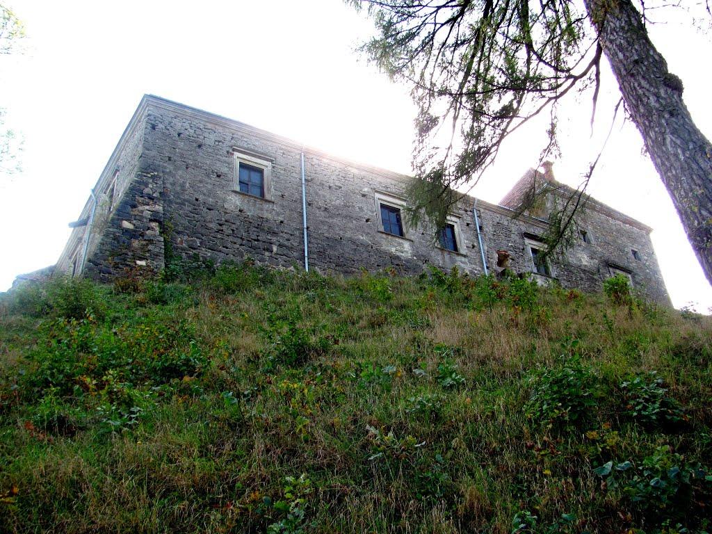 Свірж з panoramio.com - Свирж