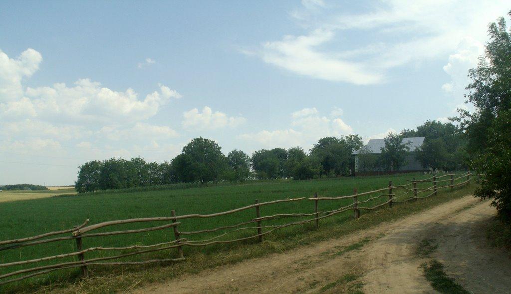Крикливець з panoramio.com - Крикливець