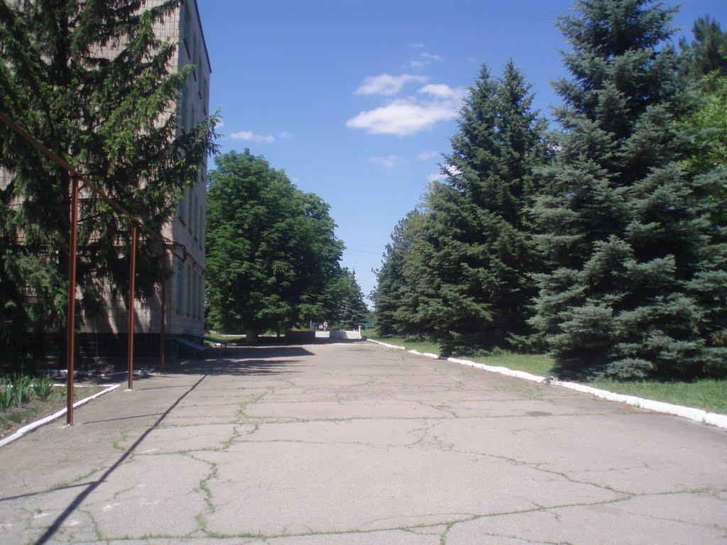 Комісарівка з panoramio.com - Комісарівка