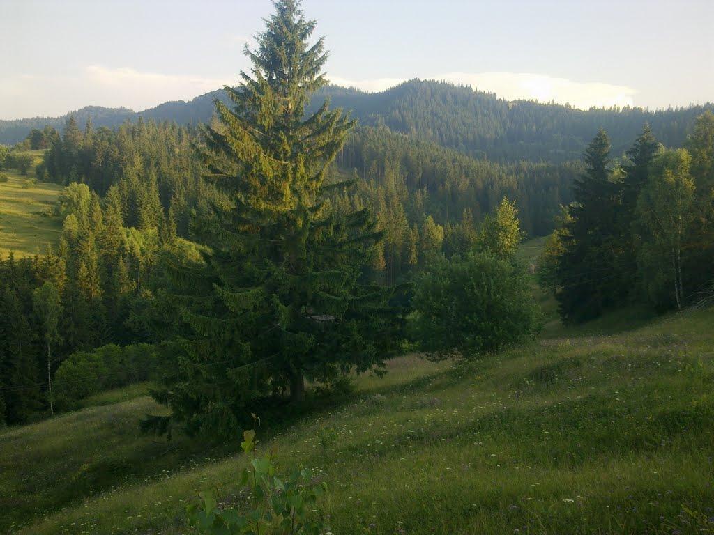Верхня Рожанка з panoramio.com - Верхняя Рожанка