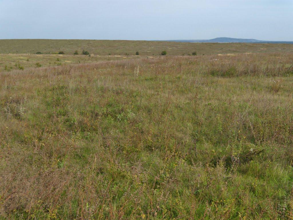 Печеніги з panoramio.com - Печениги