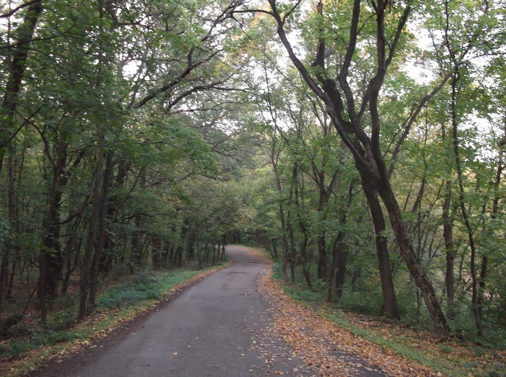 Орлівщина з panoramio.com - Орловщина