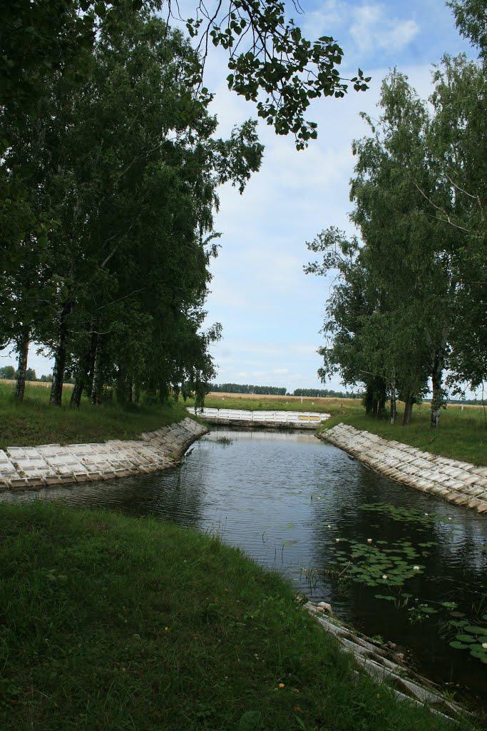 Андрієвичі з panoramio.com - Андрієвичі