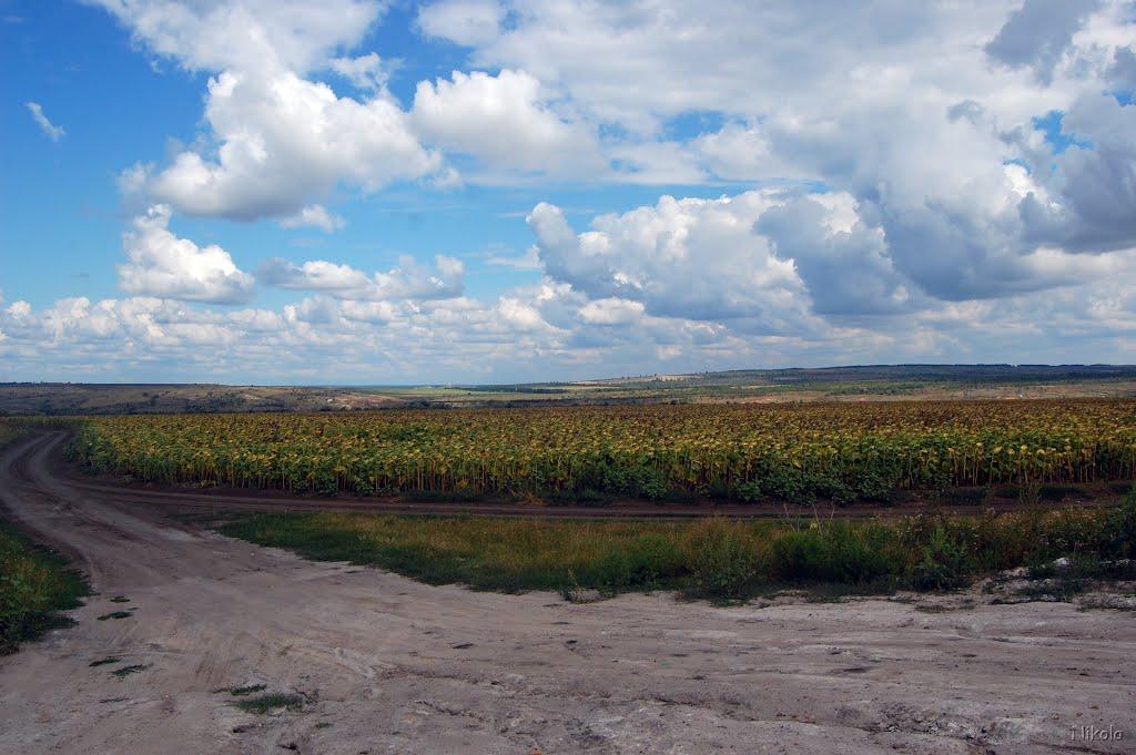 Сіверськ з panoramio.com - Северск