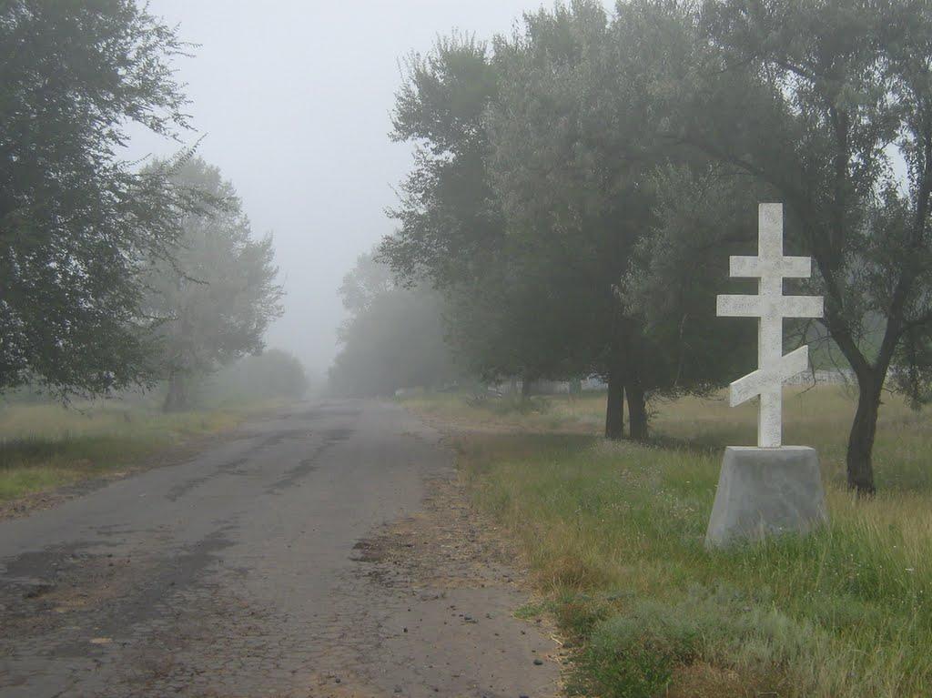 Задунаївка з panoramio.com - Задунаївка