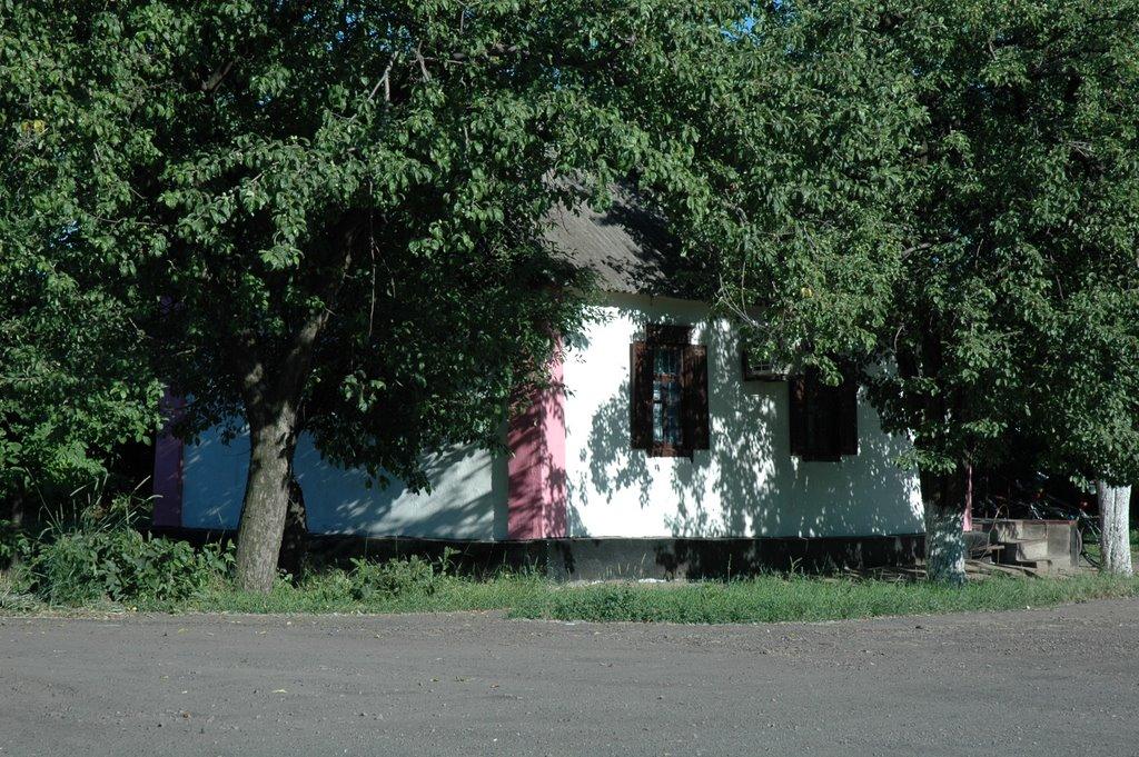 Софіївський з panoramio.com - Софиевский