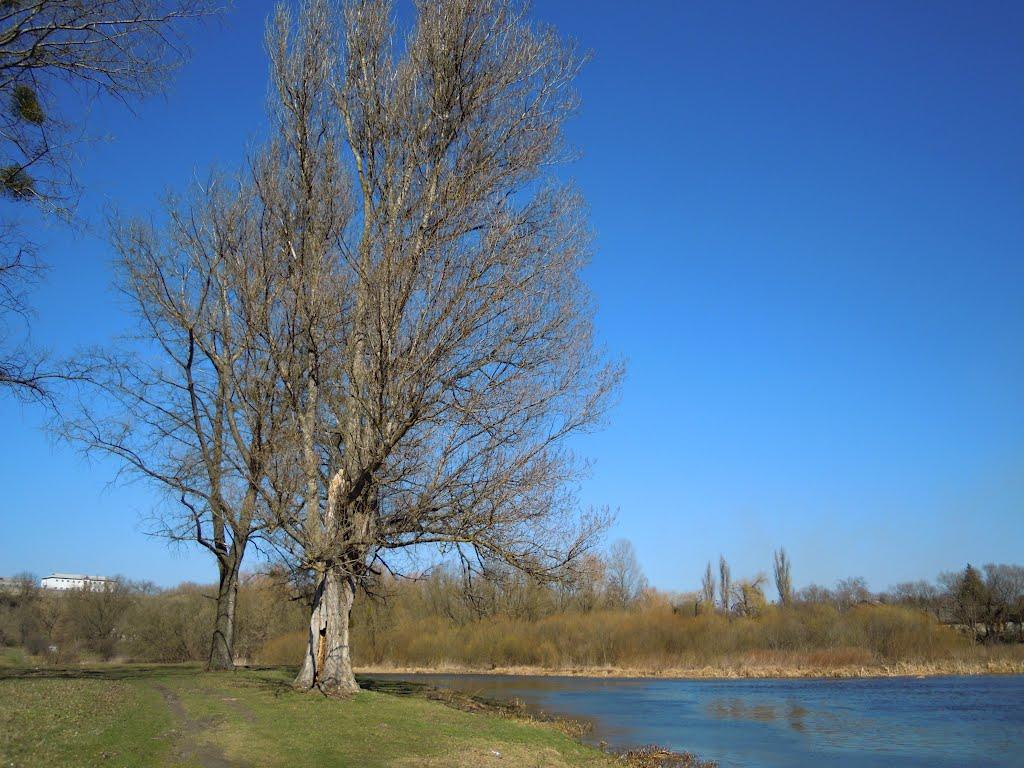 Ізяслав з panoramio.com - Изяслав