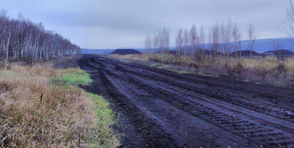 Мале Старосілля з panoramio.com - Мале Старосілля