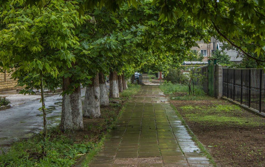 Роздольне з panoramio.com - Rozdolne
