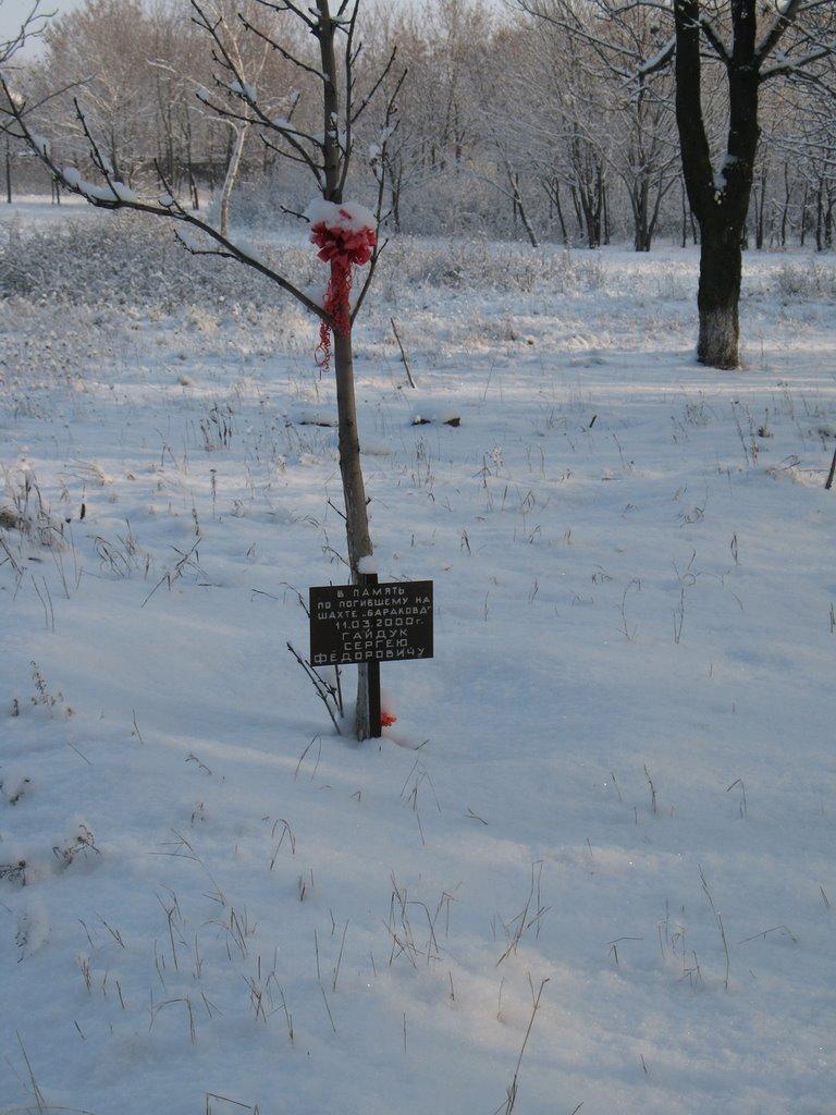 Краснодон з panoramio.com (ч.2) - Краснодон