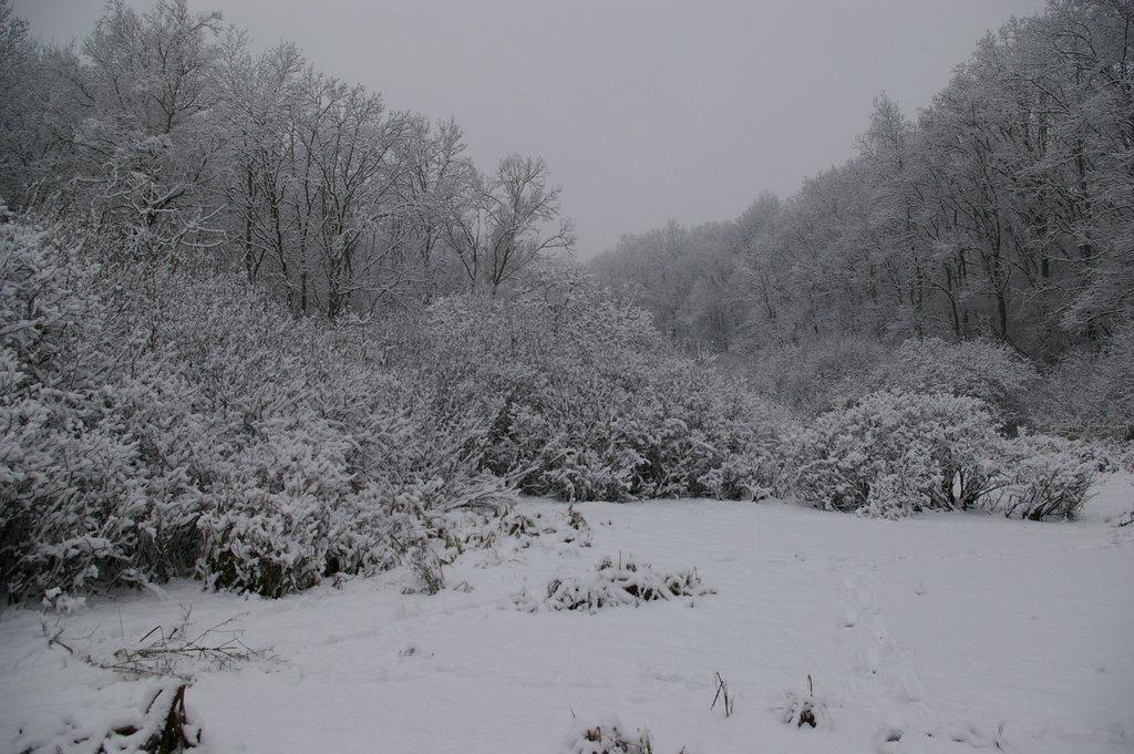 Косонь з panoramio.com - Косонь