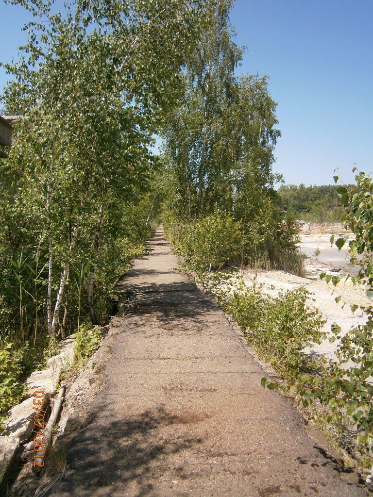 Новий Розділ з panoramio.com - Новый Роздол