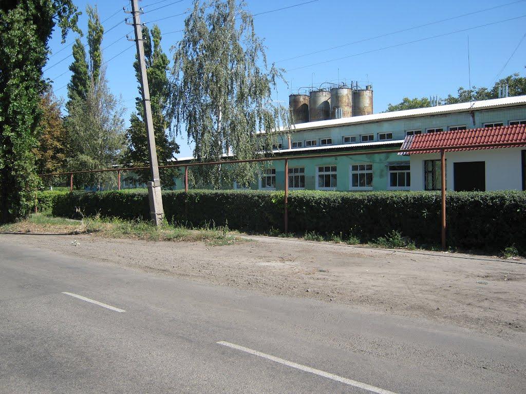 Велика Знам'янка з panoramio.com - Велика Знам'янка