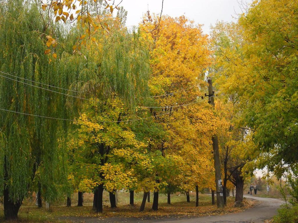 Сніжне з panoramio.com - Снежное