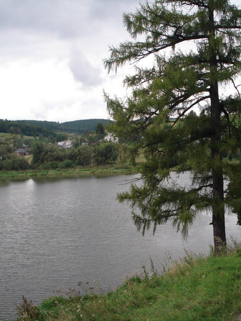 Свірж з panoramio.com - Свирж