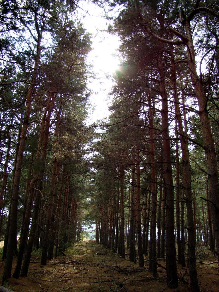 Яковлівка з panoramio.com - Яковлевка