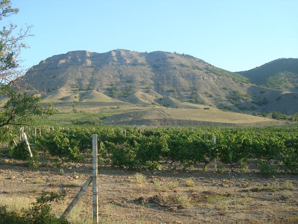 Багатівка з panoramio.com - Богатовка