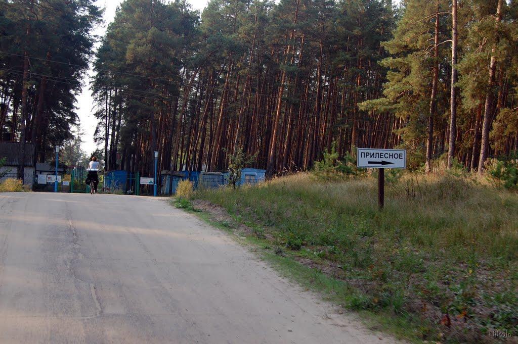 Білогорівка з panoramio.com - Білогорівка