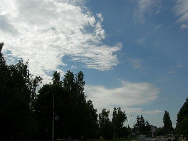 Лисянка з panoramio.com - Лысянка