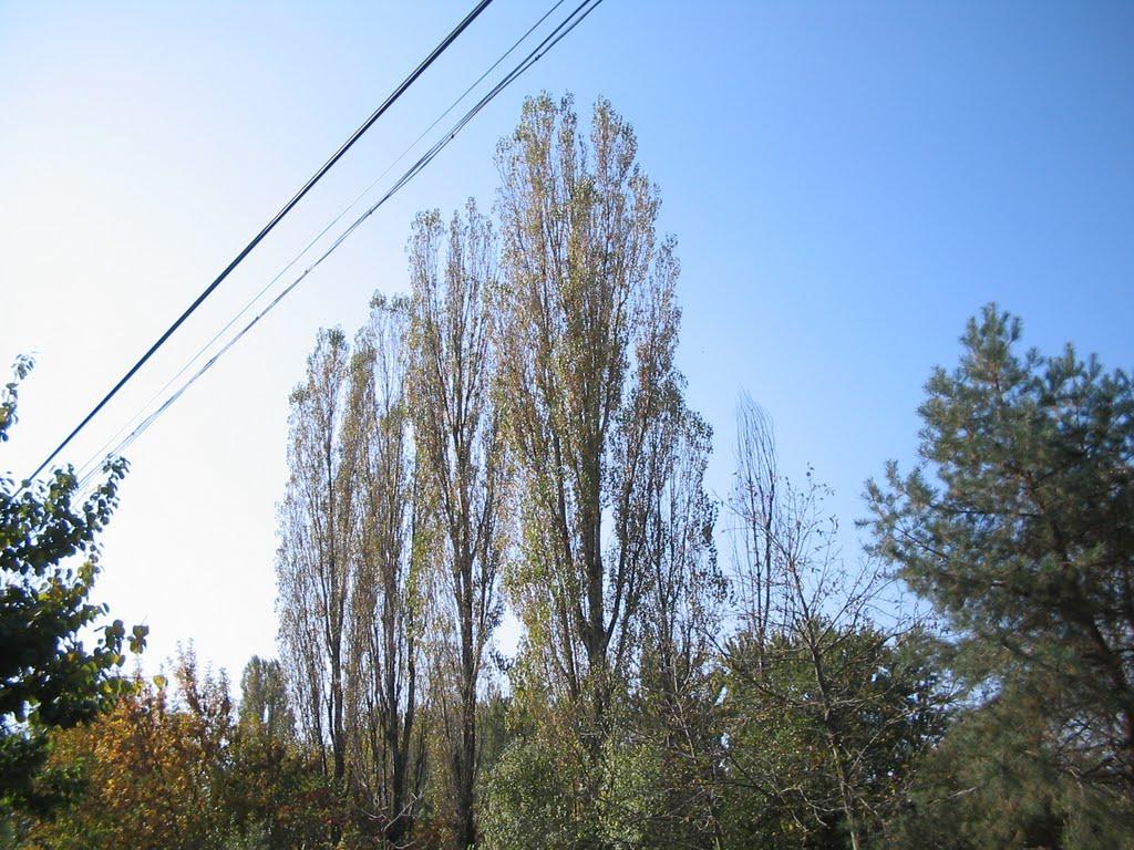 Велика Добронь з panoramio.com - Велика Добронь