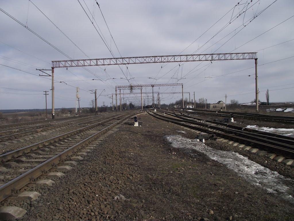 Савелівка з panoramio.com - Савелівка