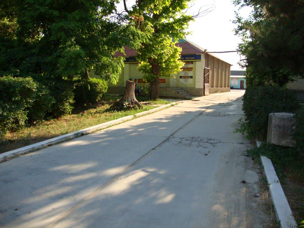 Роздольне з panoramio.com - Rozdolne