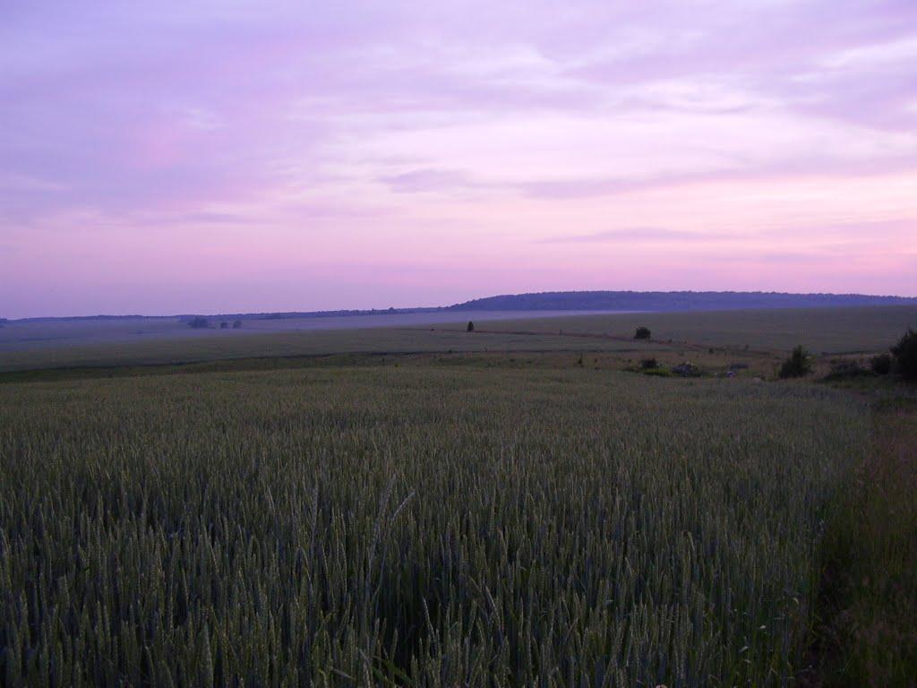 Коржівці з panoramio.com - Коржевцы