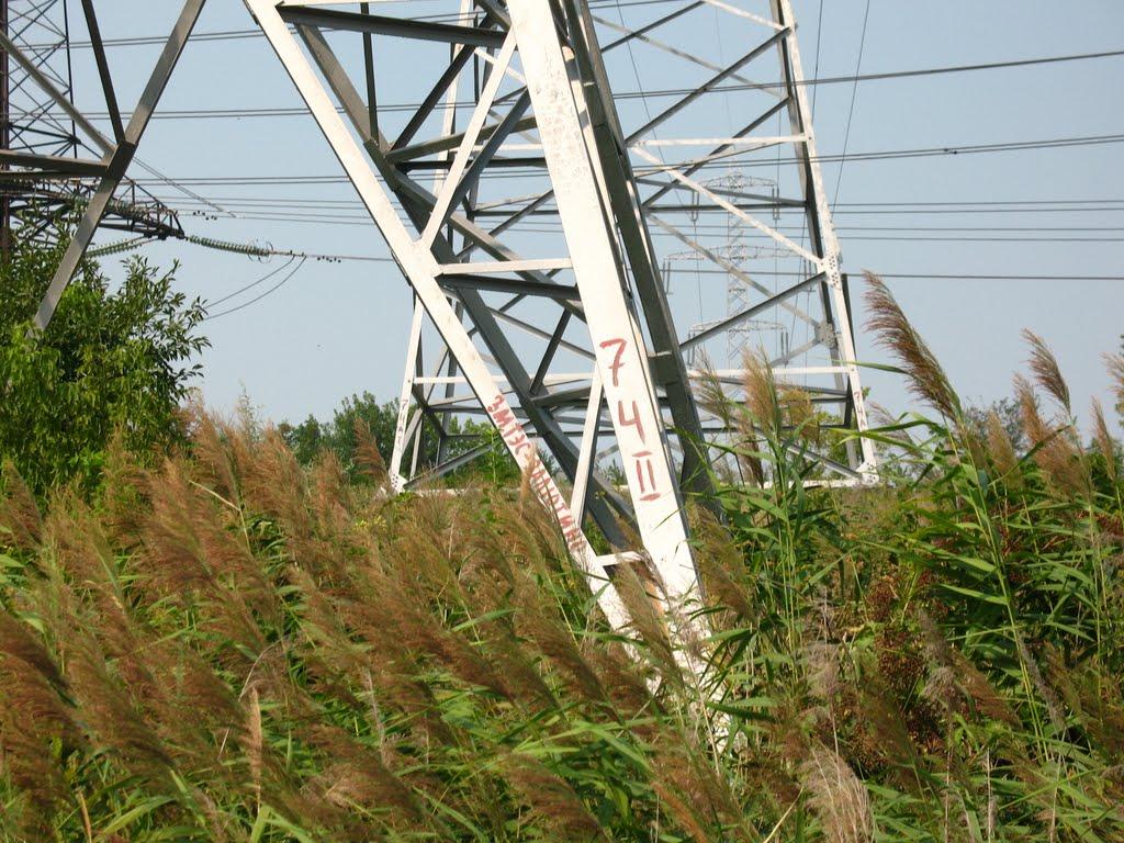 Чемужівка з panoramio.com - Чемужівка