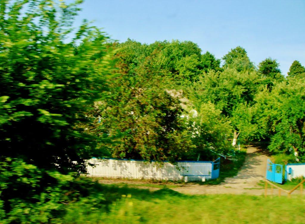 Лук'янівка з panoramio.com - Лук'янівка