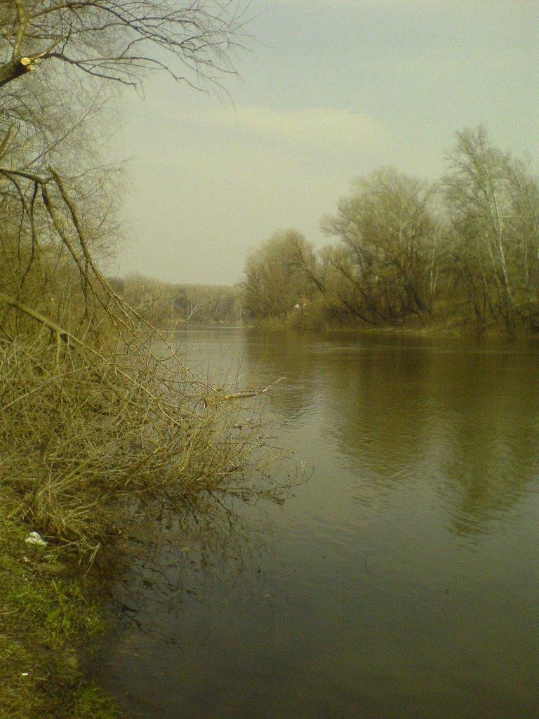 Дронівка з panoramio.com - Дроновка