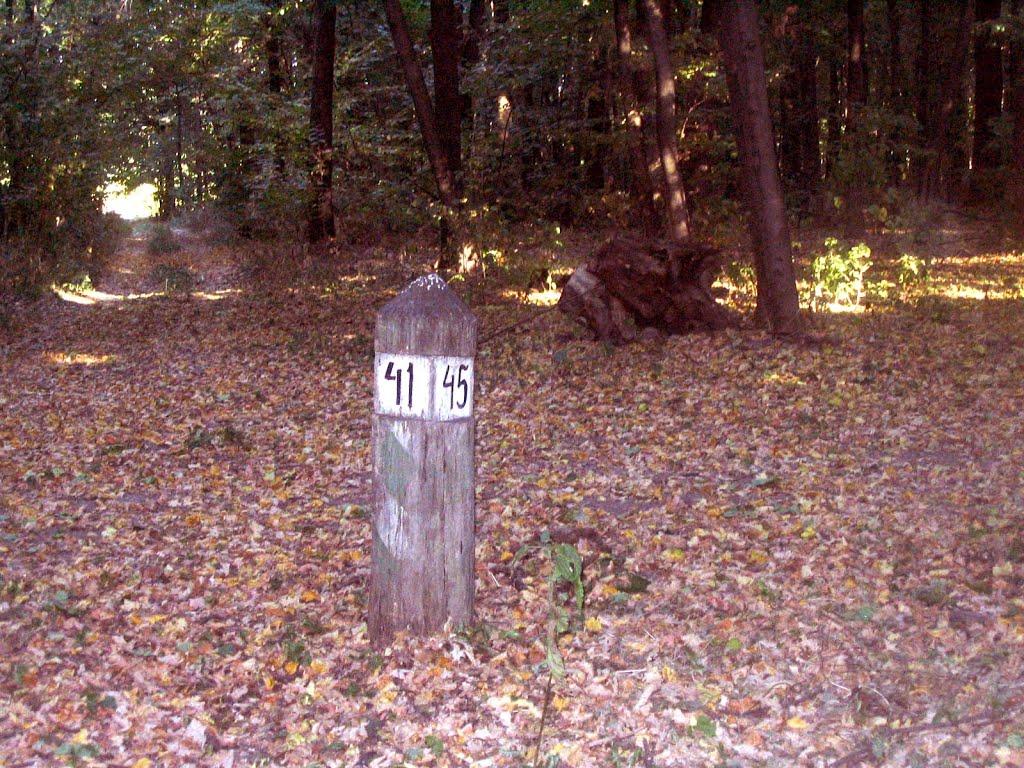 Першотравневе з panoramio.com - Першотравневе