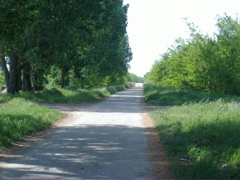 Велика Паладь з panoramio.com - Великая Паладь