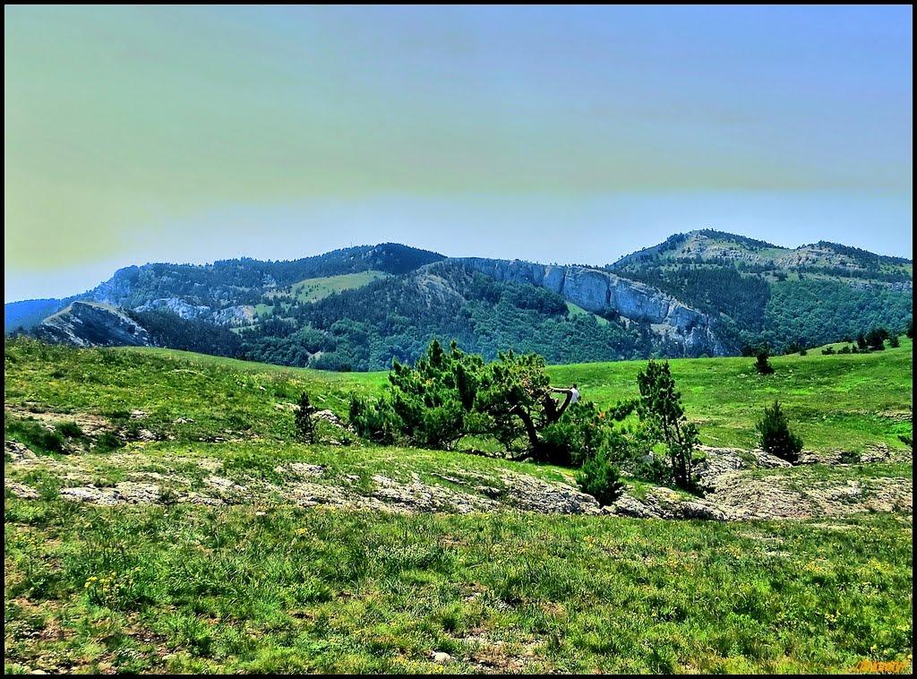 Совєтське з panoramio.com (ч.2) - Советское