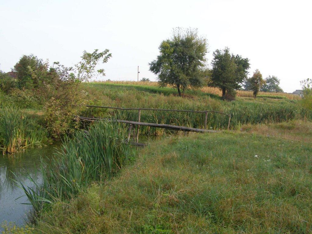 Лузанівка з panoramio.com - Лузановка