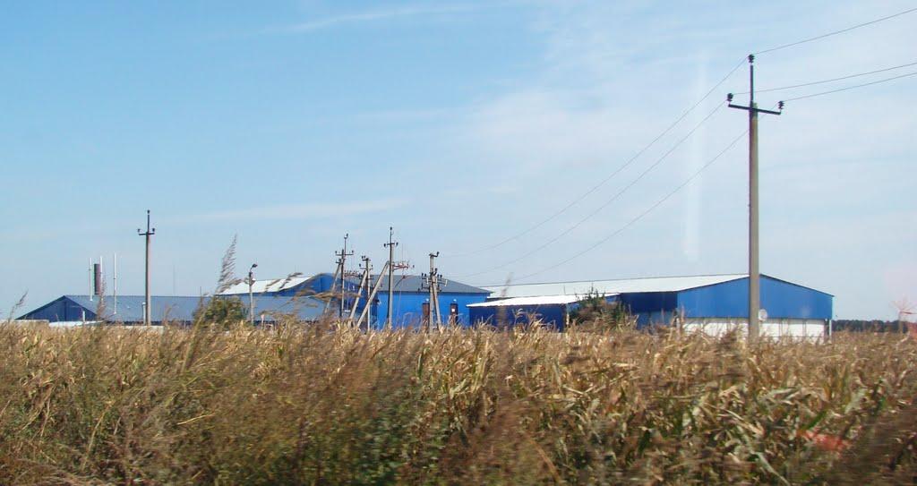 Тимошівка з panoramio.com - Тимошівка