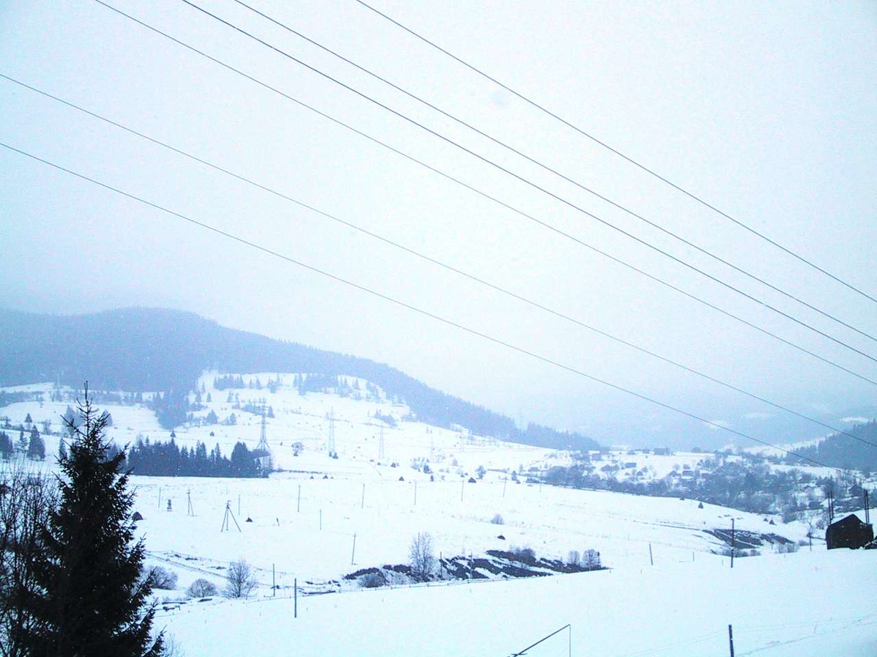 тухолька - Тухолька