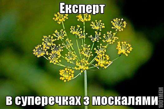 ПОЛІТИЧНІ ФОТО З ІНТЕРНЕТУ - Золота Балка