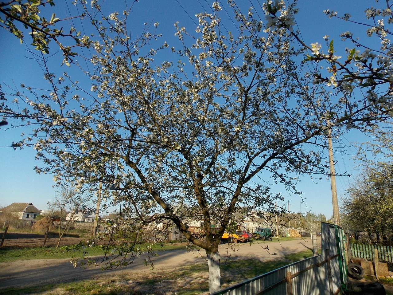 Городня  - Городня