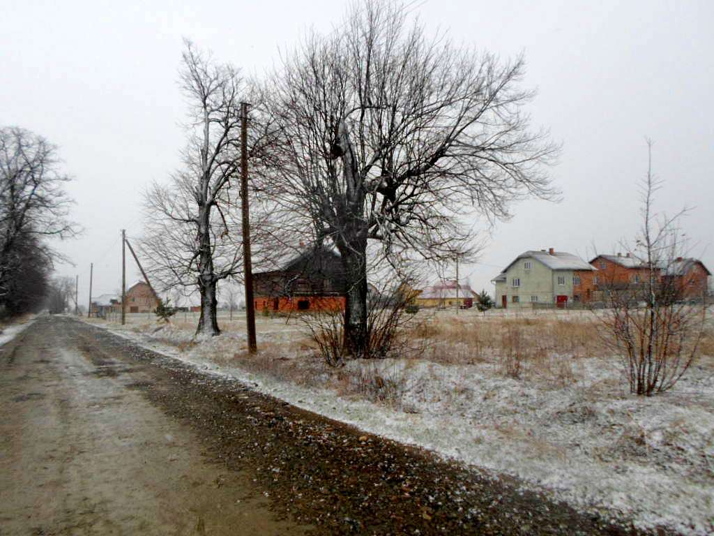 Краєвид - Голобутів