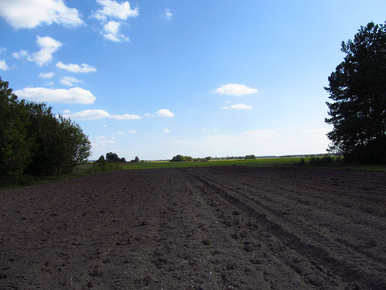 Крижі. У відрядженні. 17 вересня 2012. - Крижі